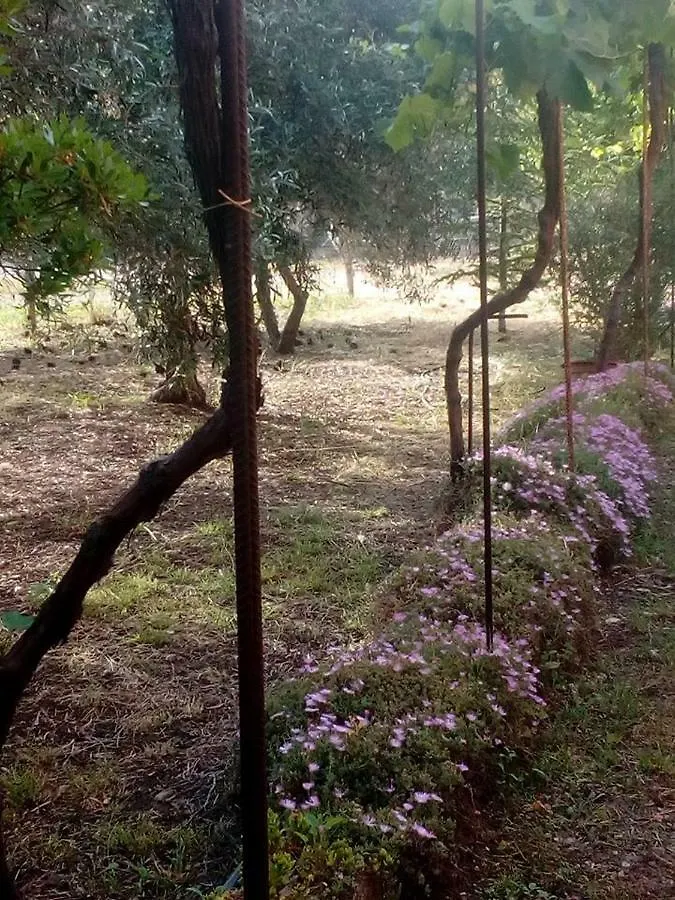 Apartamento Residenza agrituristica Santa Lucia con piscina Alguer