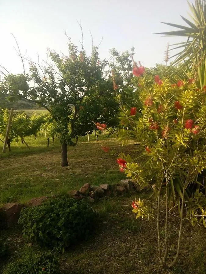 Residenza Agrituristica Santa Lucia Con Piscina Apartment Alghero 0*,  Italy